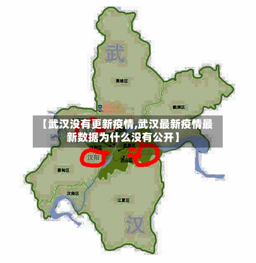 【武汉没有更新疫情,武汉最新疫情最新数据为什么没有公开】-第3张图片