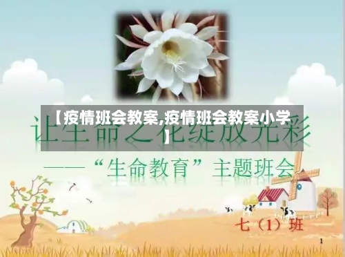 【疫情班会教案,疫情班会教案小学】