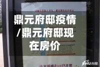 鼎元府邸疫情/鼎元府邸现在房价