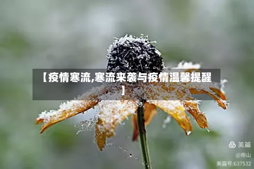 【疫情寒流,寒流来袭与疫情温馨提醒】