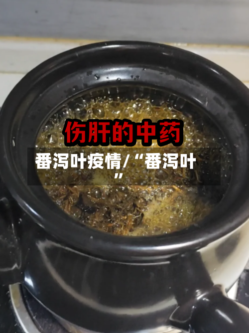 番泻叶疫情/“番泻叶”-第2张图片