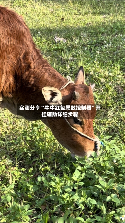 实测分享“牛牛红包尾数控制器”开挂辅助详细步骤-第3张图片