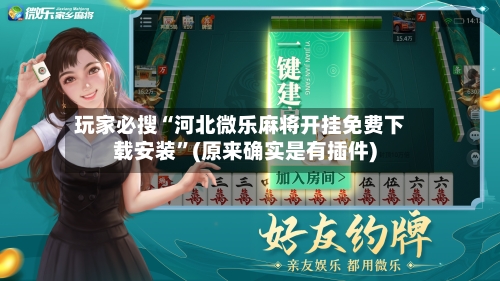 玩家必搜“河北微乐麻将开挂免费下载安装”(原来确实是有插件)-第3张图片
