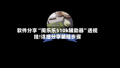 软件分享“闽乐乐510k辅助器	”透视挂!详细分享装挂步骤-第2张图片