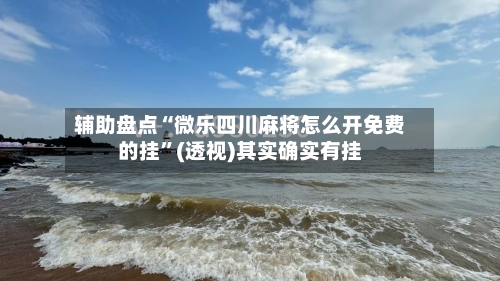 辅助盘点“微乐四川麻将怎么开免费的挂”(透视)其实确实有挂-第2张图片