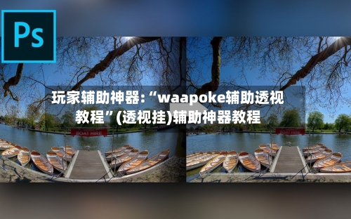 玩家辅助神器:“waapoke辅助透视教程”(透视挂)辅助神器教程-第3张图片