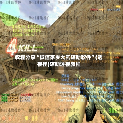 教程分享“微信家乡大贰辅助软件”(透视挂)辅助透视教程-第2张图片