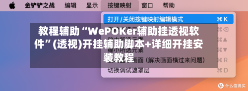 教程辅助“WePOKer辅助挂透视软件	”(透视)开挂辅助脚本+详细开挂安装教程-第3张图片