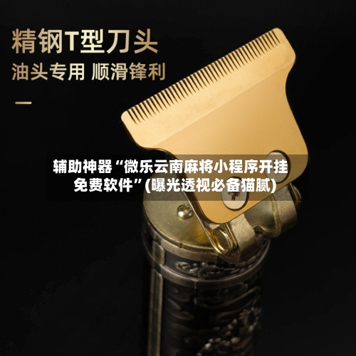 辅助神器“微乐云南麻将小程序开挂免费软件	”(曝光透视必备猫腻)-第2张图片
