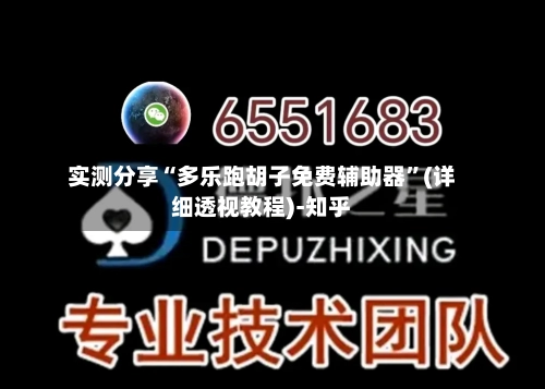 实测分享“多乐跑胡子免费辅助器”(详细透视教程)-知乎-第2张图片