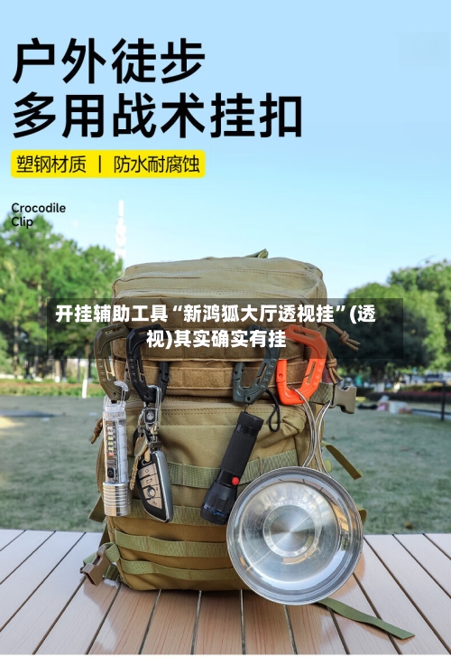 开挂辅助工具“新鸿狐大厅透视挂”(透视)其实确实有挂-第3张图片