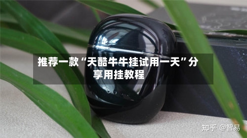 推荐一款“天酷牛牛挂试用一天”分享用挂教程-第3张图片