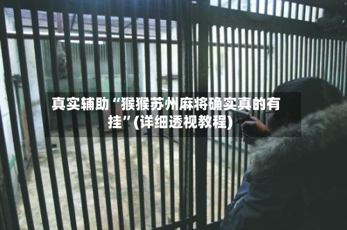 真实辅助“猴猴苏州麻将确实真的有挂”(详细透视教程)-第2张图片