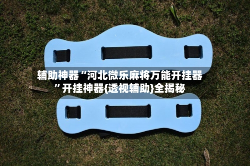 辅助神器“河北微乐麻将万能开挂器”开挂神器{透视辅助}全揭秘-第2张图片