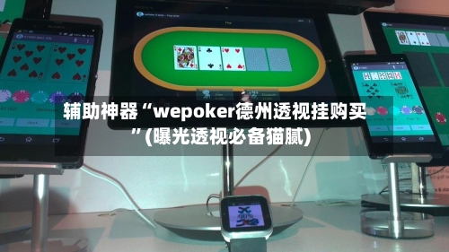 辅助神器“wepoker德州透视挂购买”(曝光透视必备猫腻)-第2张图片