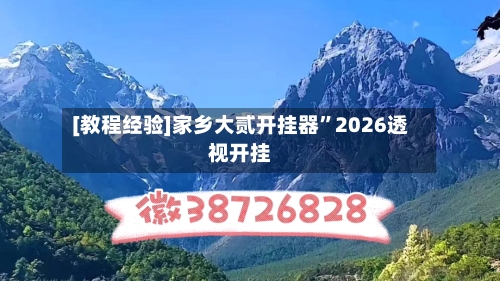 [教程经验]家乡大贰开挂器”2026透视开挂-第3张图片