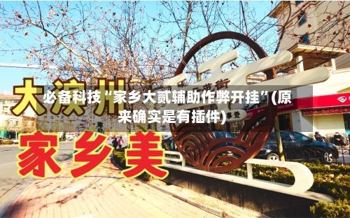 必备科技“家乡大贰辅助作弊开挂	”(原来确实是有插件)-第3张图片