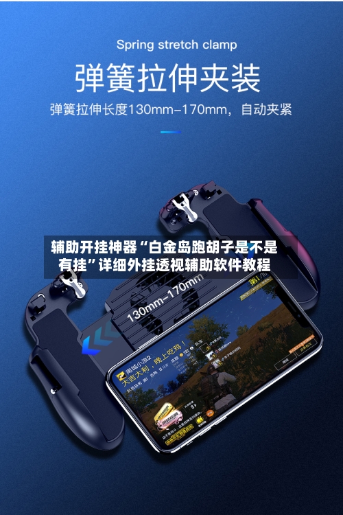辅助开挂神器“白金岛跑胡子是不是有挂”详细外挂透视辅助软件教程-第2张图片