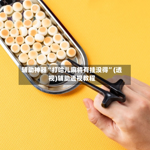 辅助神器“打哈儿麻将有挂没得”(透视)辅助透视教程-第2张图片