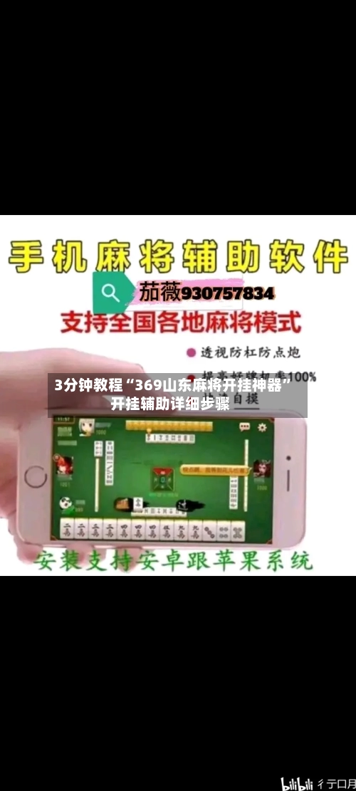 3分钟教程“369山东麻将开挂神器”开挂辅助详细步骤-第3张图片