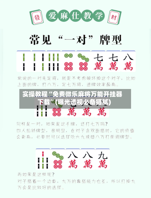 实操教程“免费微乐麻将万能开挂器下载”(曝光透视必备猫腻)-第2张图片