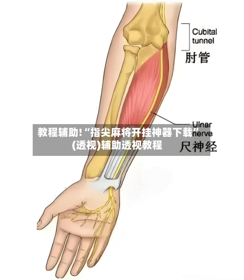 教程辅助!“指尖麻将开挂神器下载”(透视)辅助透视教程