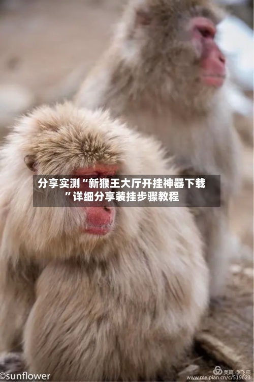 分享实测“新猴王大厅开挂神器下载	”详细分享装挂步骤教程-第2张图片