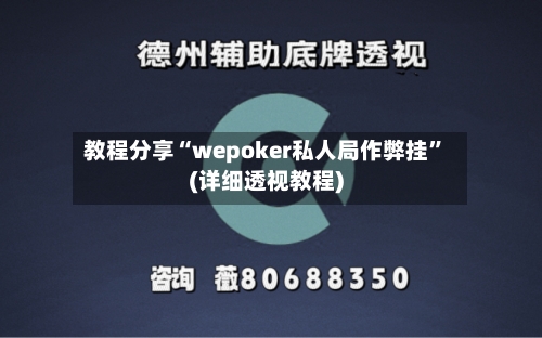 教程分享“wepoker私人局作弊挂”(详细透视教程)-第2张图片