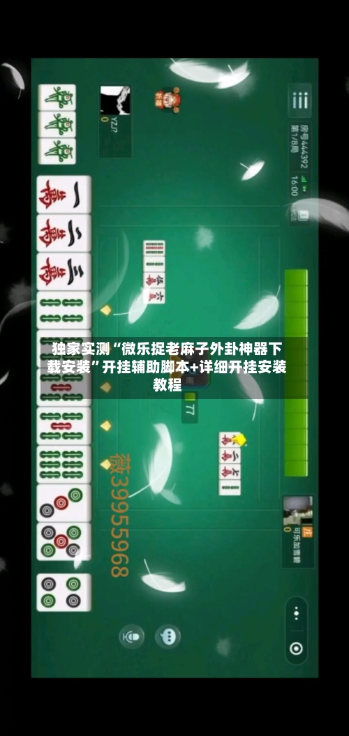 独家实测“微乐捉老麻子外卦神器下载安装”开挂辅助脚本+详细开挂安装教程-第2张图片