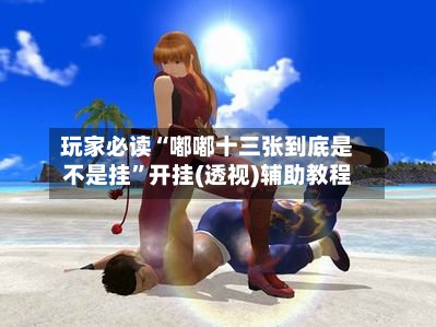 玩家必读“嘟嘟十三张到底是不是挂”开挂(透视)辅助教程-第2张图片