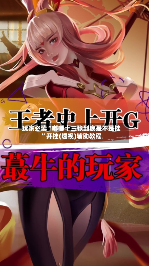 玩家必读“嘟嘟十三张到底是不是挂”开挂(透视)辅助教程-第3张图片