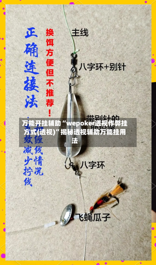 万能开挂辅助“wepoker透视作弊挂方式(透视)”揭秘透视辅助万能挂用法-第2张图片