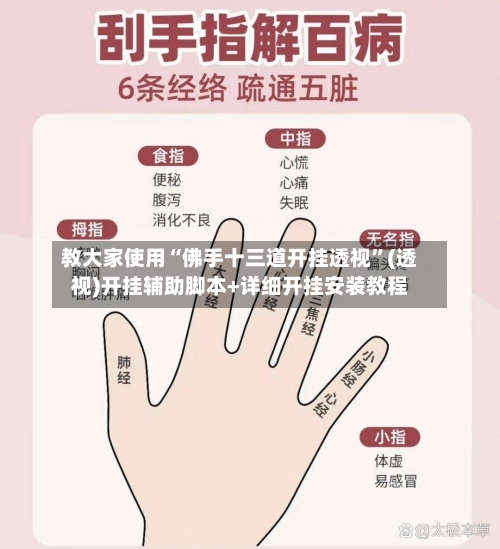 教大家使用“佛手十三道开挂透视”(透视)开挂辅助脚本+详细开挂安装教程-第2张图片