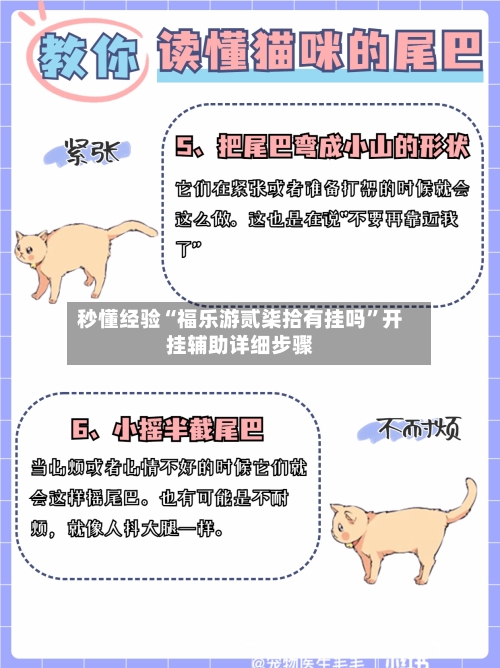 秒懂经验“福乐游贰柒拾有挂吗”开挂辅助详细步骤-第3张图片