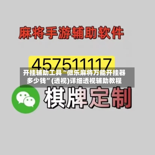 开挂辅助工具“微乐麻将万能开挂器多少钱”(透视)详细透视辅助教程-第2张图片