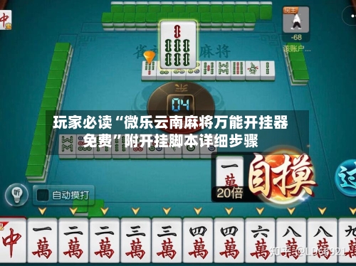 玩家必读“微乐云南麻将万能开挂器免费”附开挂脚本详细步骤-第2张图片