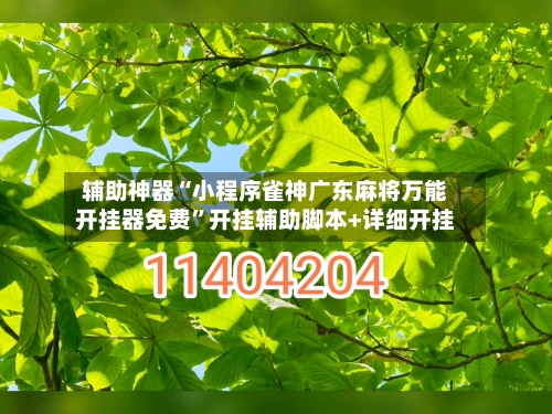 辅助神器“小程序雀神广东麻将万能开挂器免费	”开挂辅助脚本+详细开挂-第2张图片