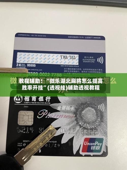 教程辅助！“微乐湖北麻将怎么提高胜率开挂”(透视挂)辅助透视教程-第2张图片