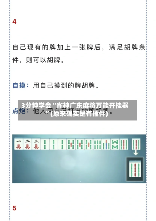 3分钟学会“雀神广东麻将万能开挂器	”(原来确实是有插件)-第3张图片
