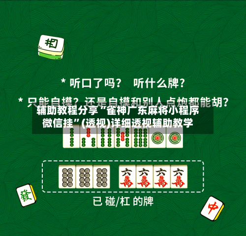 辅助教程分享“雀神广东麻将小程序微信挂”(透视)详细透视辅助教学-第2张图片
