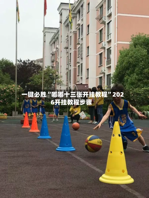 一键必胜“嘟嘟十三张开挂教程”2026开挂教程步骤-第2张图片