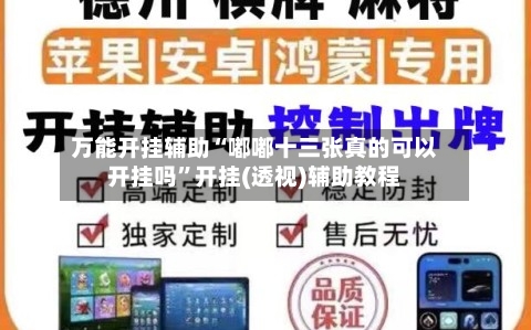 万能开挂辅助“嘟嘟十三张真的可以开挂吗”开挂(透视)辅助教程-第2张图片
