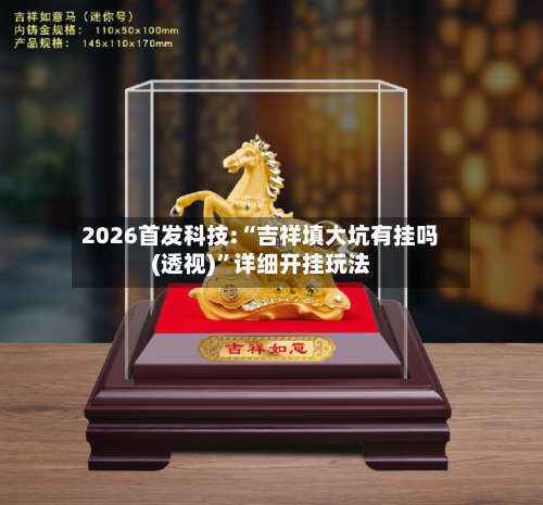 2026首发科技:“吉祥填大坑有挂吗(透视)”详细开挂玩法-第3张图片