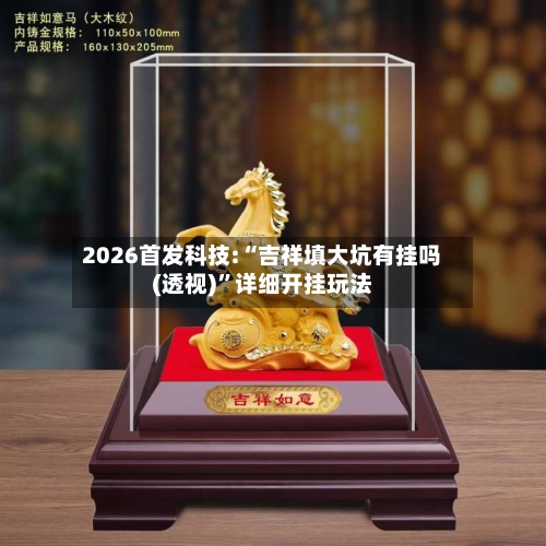 2026首发科技:“吉祥填大坑有挂吗(透视)”详细开挂玩法-第2张图片