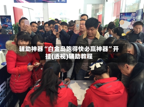 辅助神器“白金岛跑得快必赢神器”开挂(透视)辅助教程-第2张图片