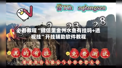 必看教程“微信里金州水鱼有挂吗+透视挂”开挂辅助软件教程-第3张图片
