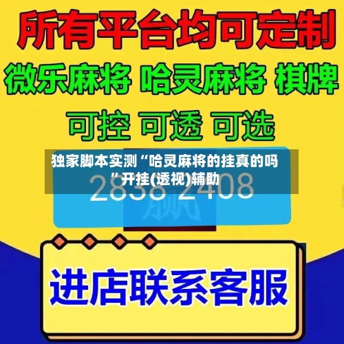 独家脚本实测“哈灵麻将的挂真的吗”开挂(透视)辅助-第2张图片