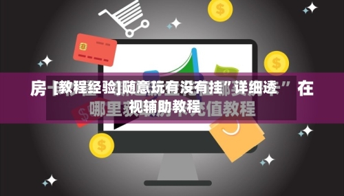 [教程经验]随意玩有没有挂	”详细透视辅助教程-第2张图片
