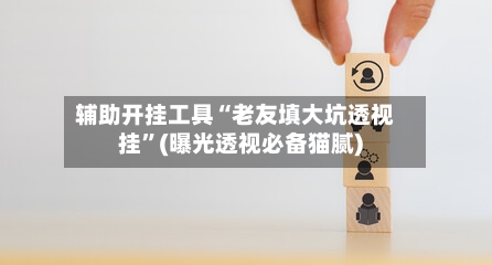 辅助开挂工具“老友填大坑透视挂”(曝光透视必备猫腻)-第2张图片