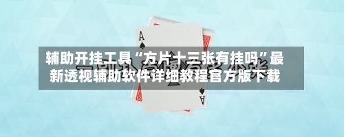 辅助开挂工具“方片十三张有挂吗	”最新透视辅助软件详细教程官方版下载-第2张图片